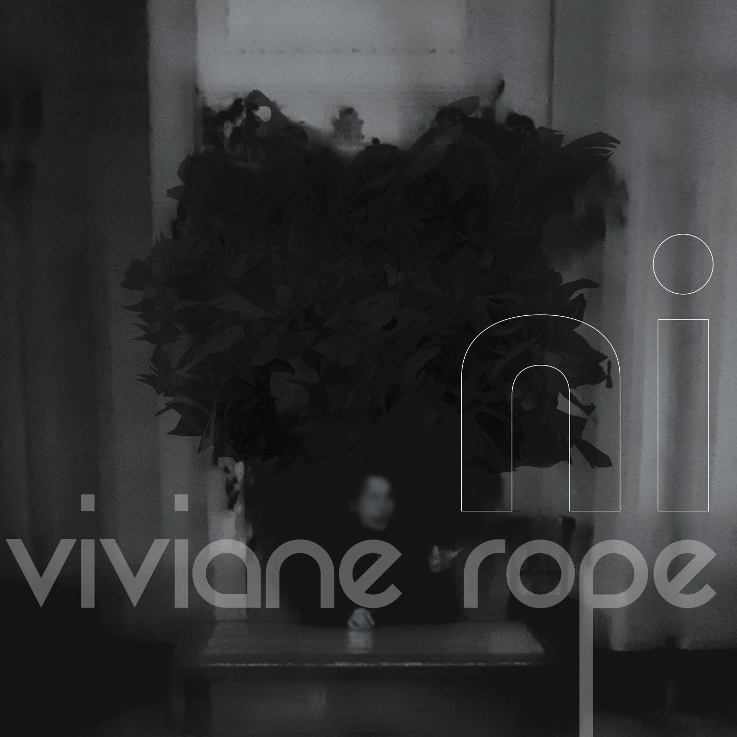 Pochette de : NI - VIVIANE ROPE (CD)