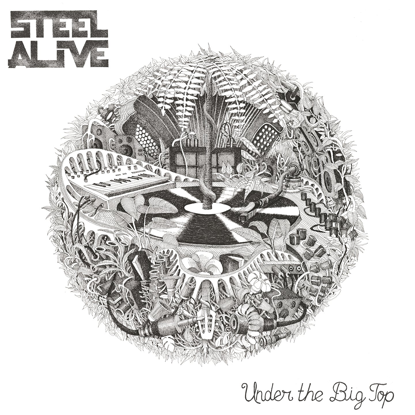 Pochette de : UNDER THE BIG TOP - STEEL ALIVE (VINYLE 33T)