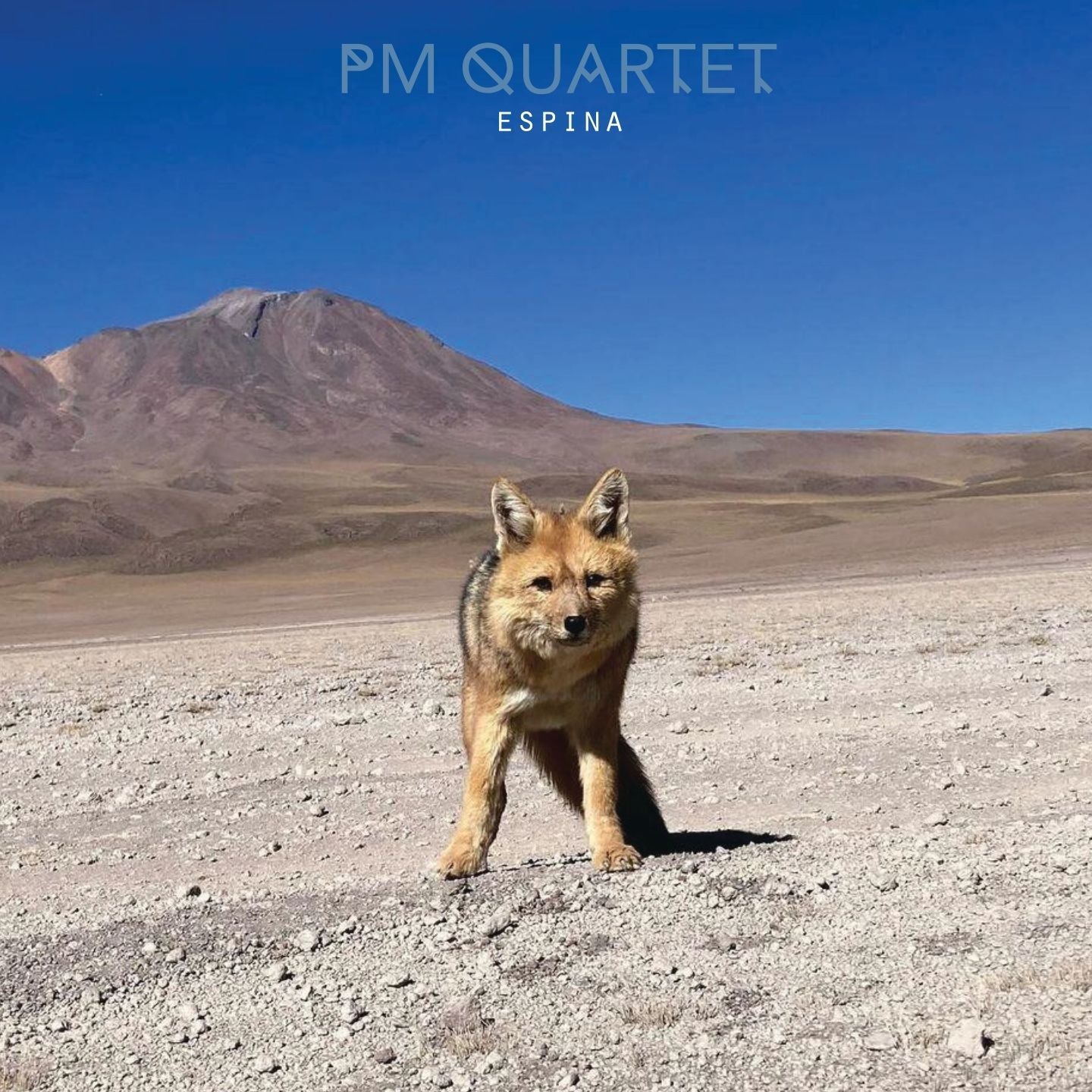 Pochette de : ESPINA - PIERRE MARTINET QUARTET (CD)