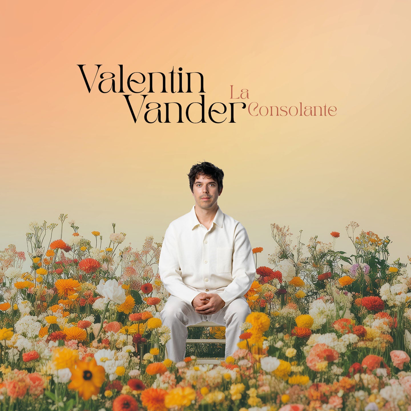 Pochette de : LA CONSOLANTE - VALENTIN VANDER (CD)