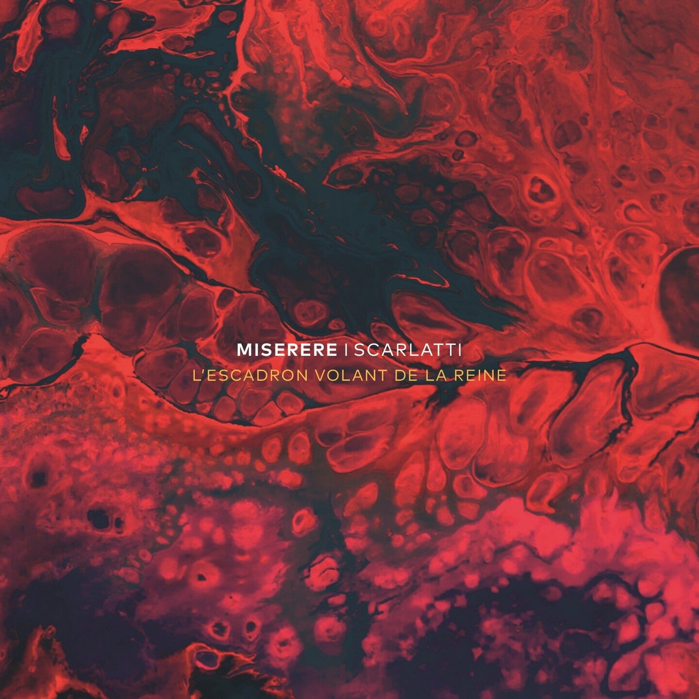 Pochette de : MISERERE - ESCADRON VOLANT DE LA REINE (CD)