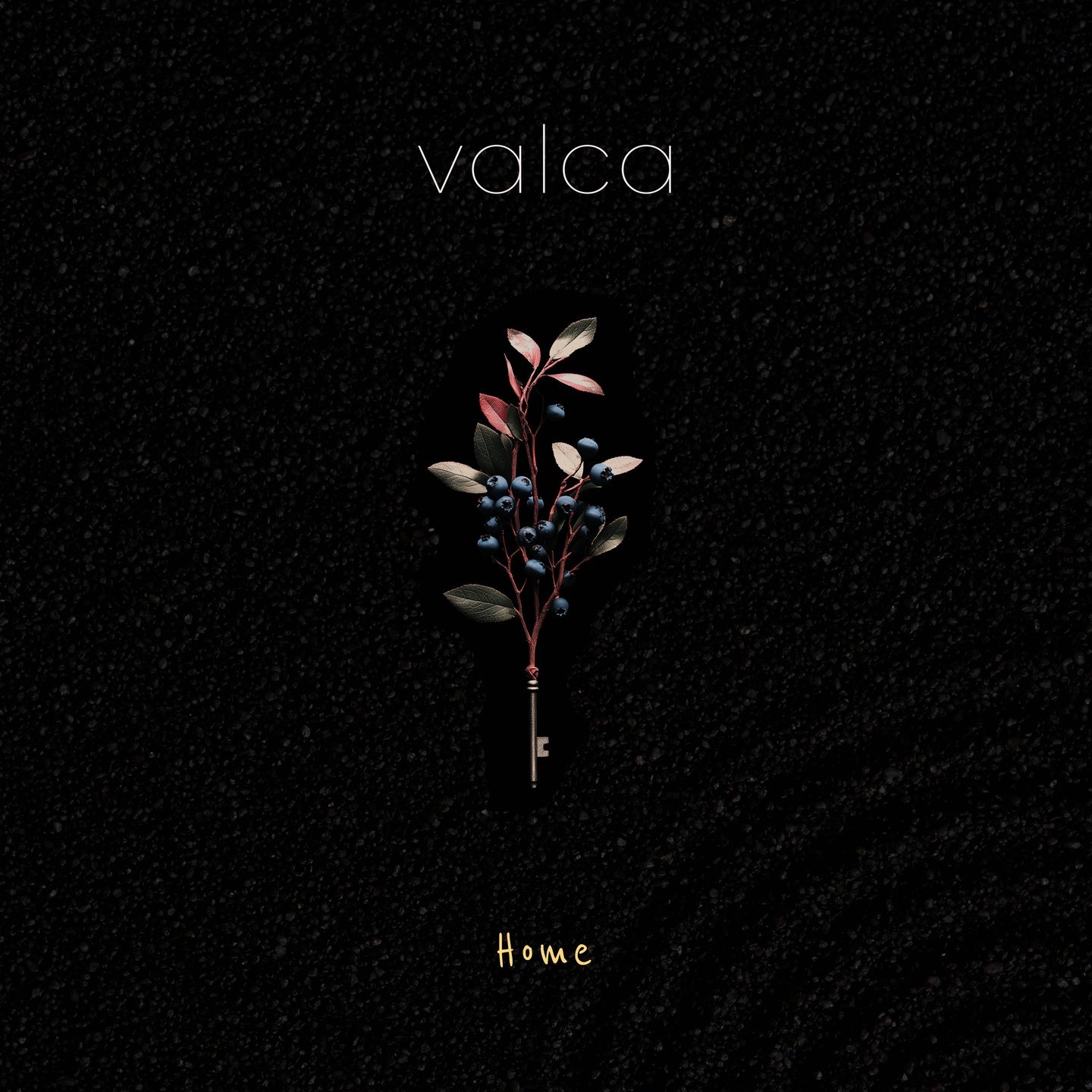 Pochette de : HOME - VALCA (VINYLE 33T)