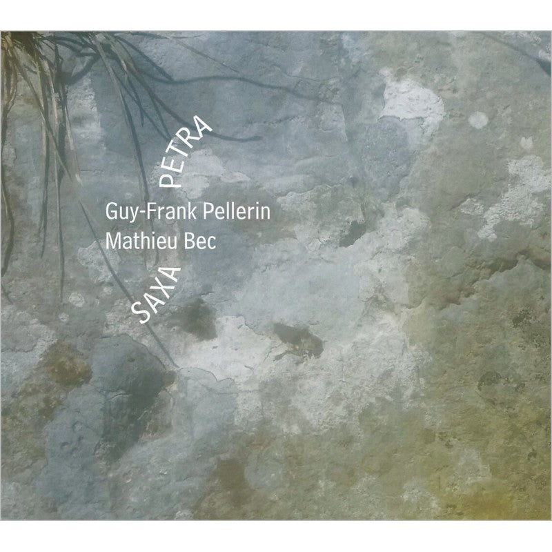 Pochette de : SAXA PETRA - PELLERIN GUY-FRANK , BEC MATHIEU (CD)