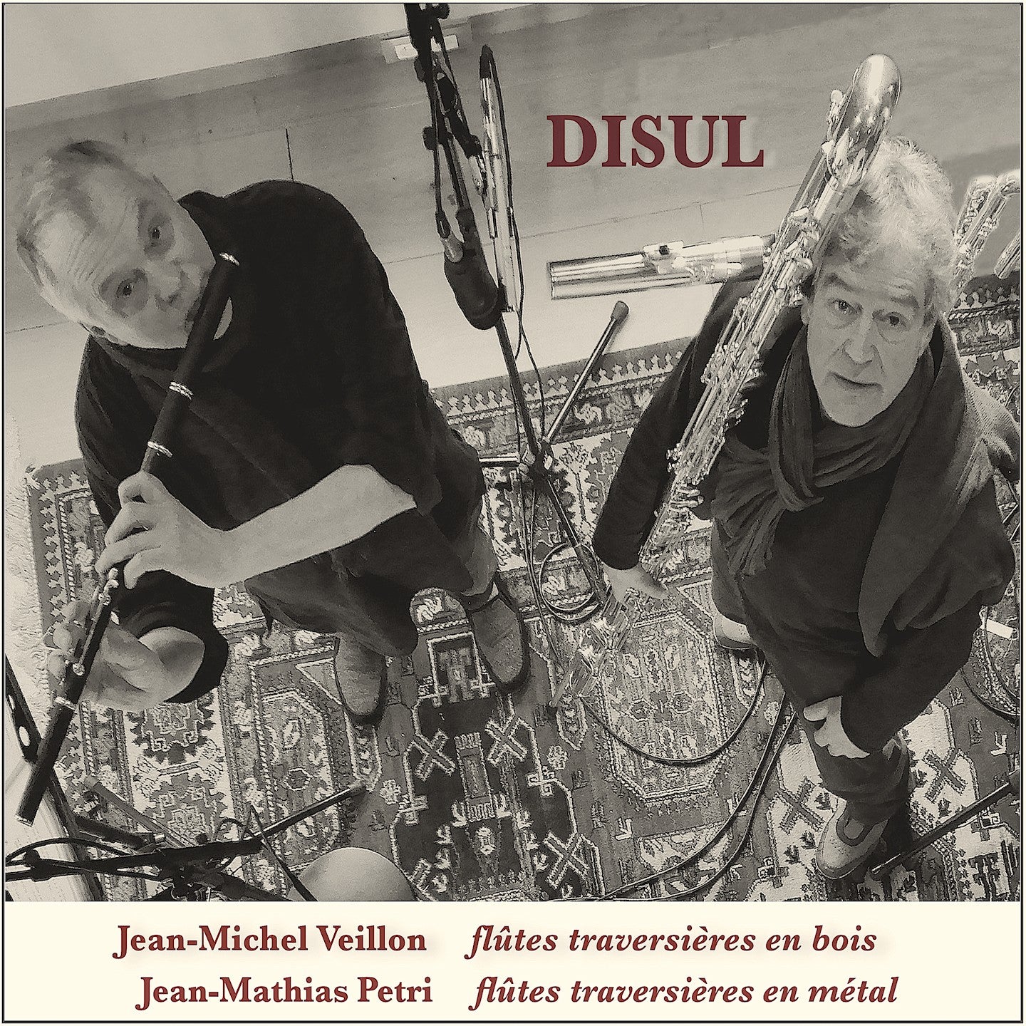 Pochette de : DISUL - JEAN-MATHIAS PETRI & JEAN-MICHEL VEILLON (CD)