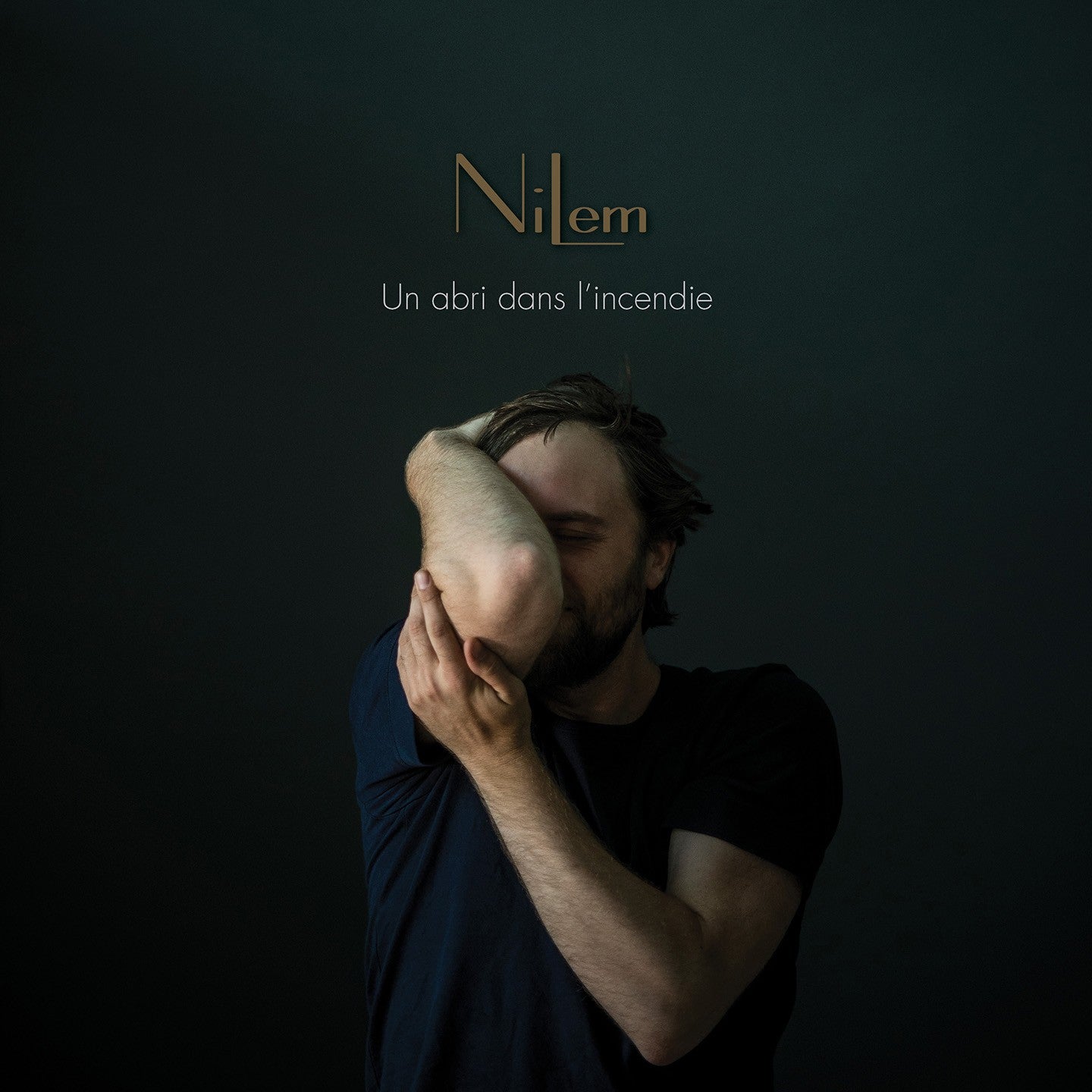 Pochette de : UN ABRI DANS L'INCENDIE - NILEM (CD)