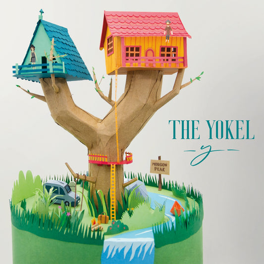 Pochette de : Y - THE YOKEL (DOUBLE VINYLE 33T)
