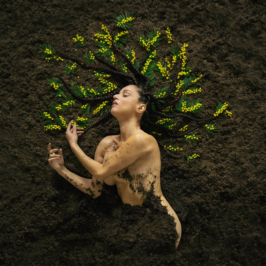 Pochette de : MAUVAISE GRAINE - SISKA (VINYLE 33T)