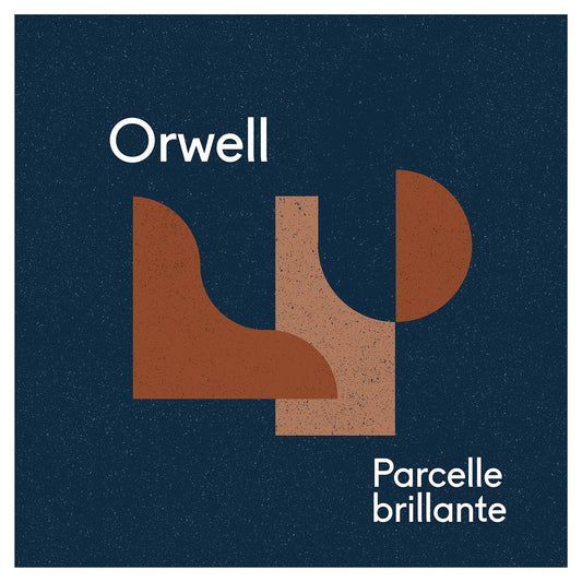 Pochette de : PARCELLE BRILLANTE - ORWELL (VINYLE 33T)