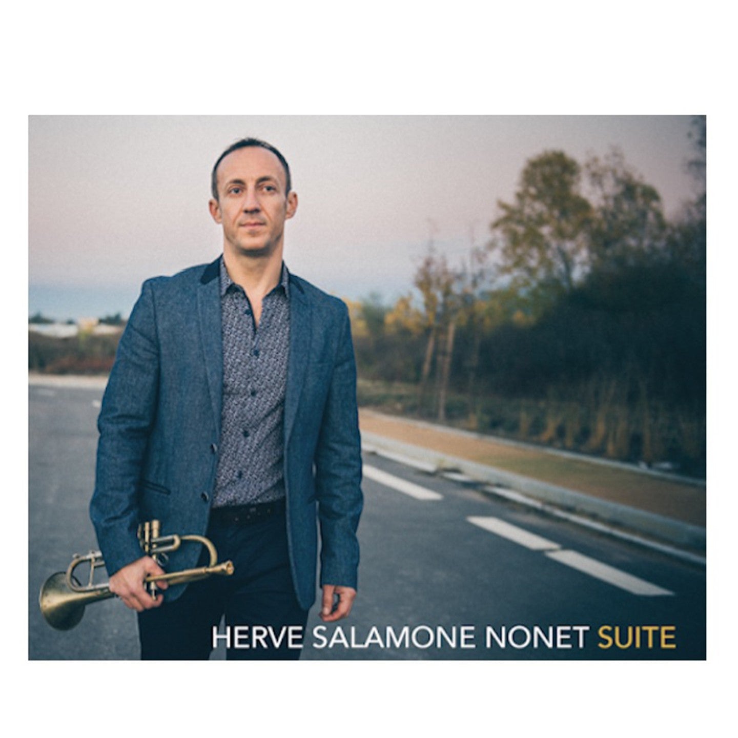 Pochette de : SUITE... - HERVÉ SALAMONE NONET (CD)