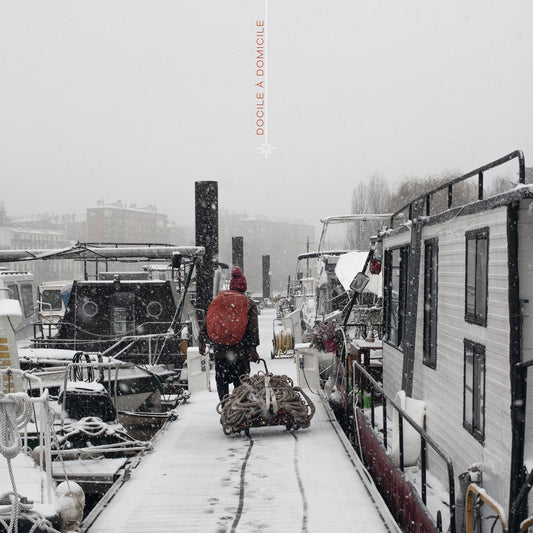 Pochette de : DOCILE À DOMICILE - DIZZYLEZ (VINYLE 33T)