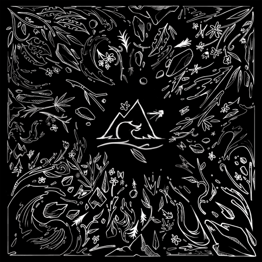 Pochette de : IN A WORLD - BENJAMIN FRYDE (CD)