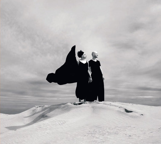 Pochette de : BY THE SKET - ALIMA HAMEL, VINCENT FERRAND (CD)