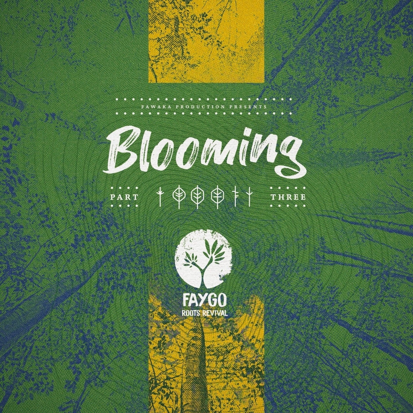 Pochette de : BLOOMING #3 - FAYGO (VINYLE 33T)