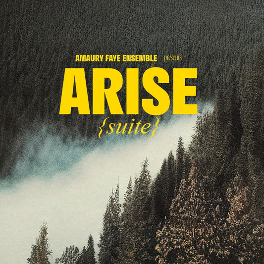 Pochette de : ARISE (SUITE) - AMAURY FAYE ENSEMBLE (CD)