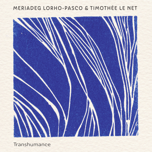 Pochette de : TRANSHUMANCE - MERIADEG LORHO-PASCO & TIMOTHÉE LE NET (CD)