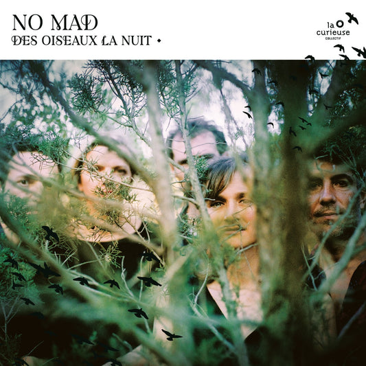 Pochette de : DES OISEAUX LA NUIT - NO MAD? (VINYLE 33T)