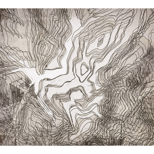 Pochette de : DE L'UTILITÉ ET DES INCONVÉNIENTS DE LA MÉMOIRE POUR L’IMPROVISATION - EL MEMORIOSO (CD)