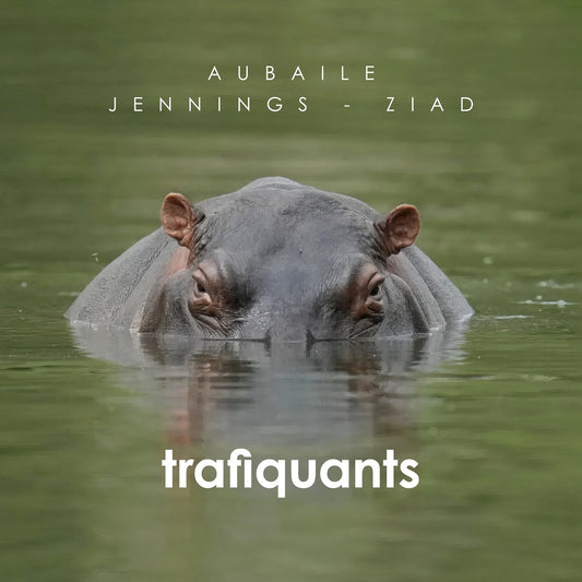 Pochette de : TRAFIQUANTS - DAVID AUBAILE FEAT. KARIM ZIAD, CHRIS JENNINGS (CD)