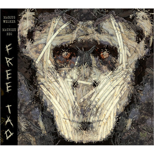 Pochette de : FREE TAO - MARIUS WELKER , MATHIEU BEC (CD)