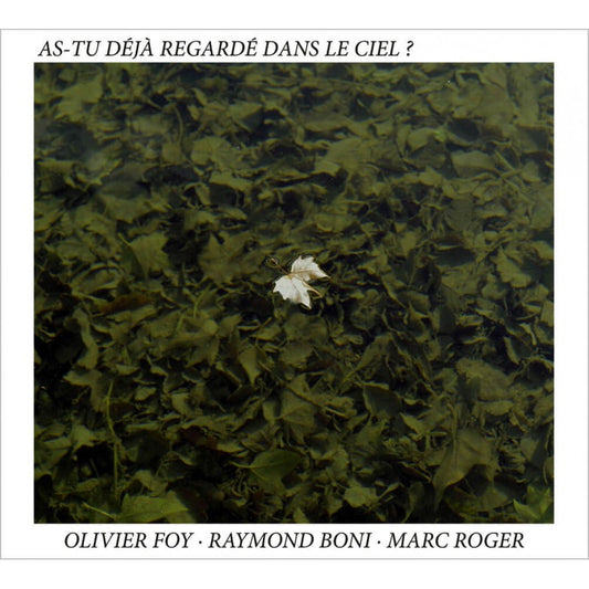 Pochette de : AS-TU DÉJÀ REGARDÉ DANS LE CIEL? - OLIVIER FOY , RAYMOND BONI , MARC ROGER (CD)