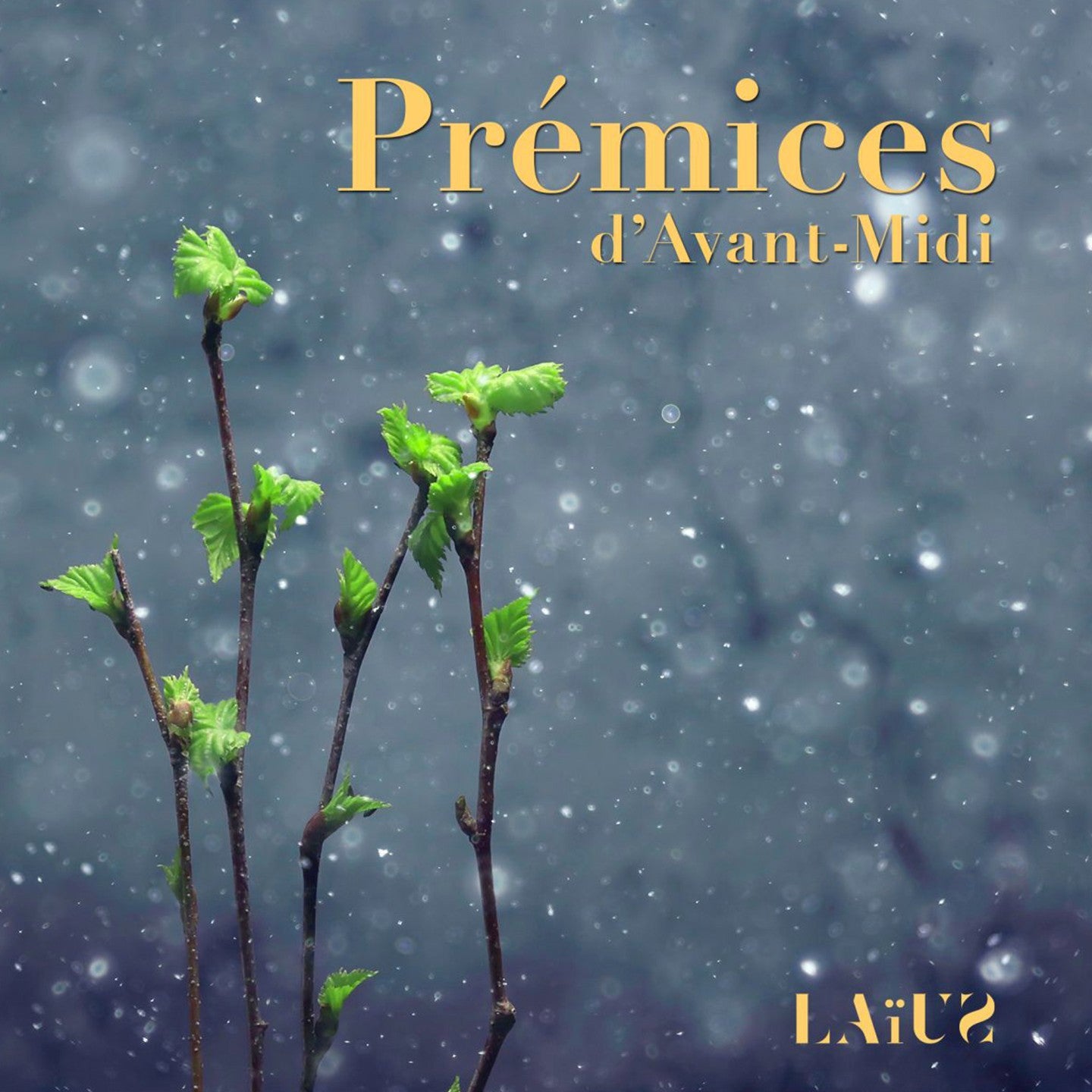 Pochette de : PRÉMICES D'AVANT-MIDI - LAÏUS (CD)