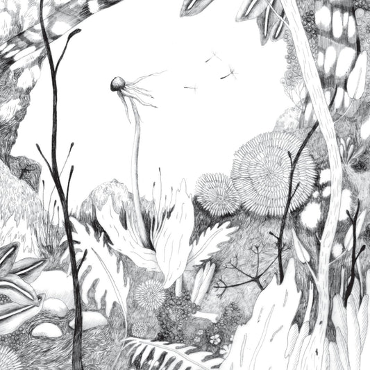 Pochette de : TIME WHISPERS - BACK & FORTH (VINYLE 33T)