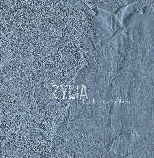 Pochette de : LES LIGNES DE DÉSIR - ZYLIA (VINYLE 33T)