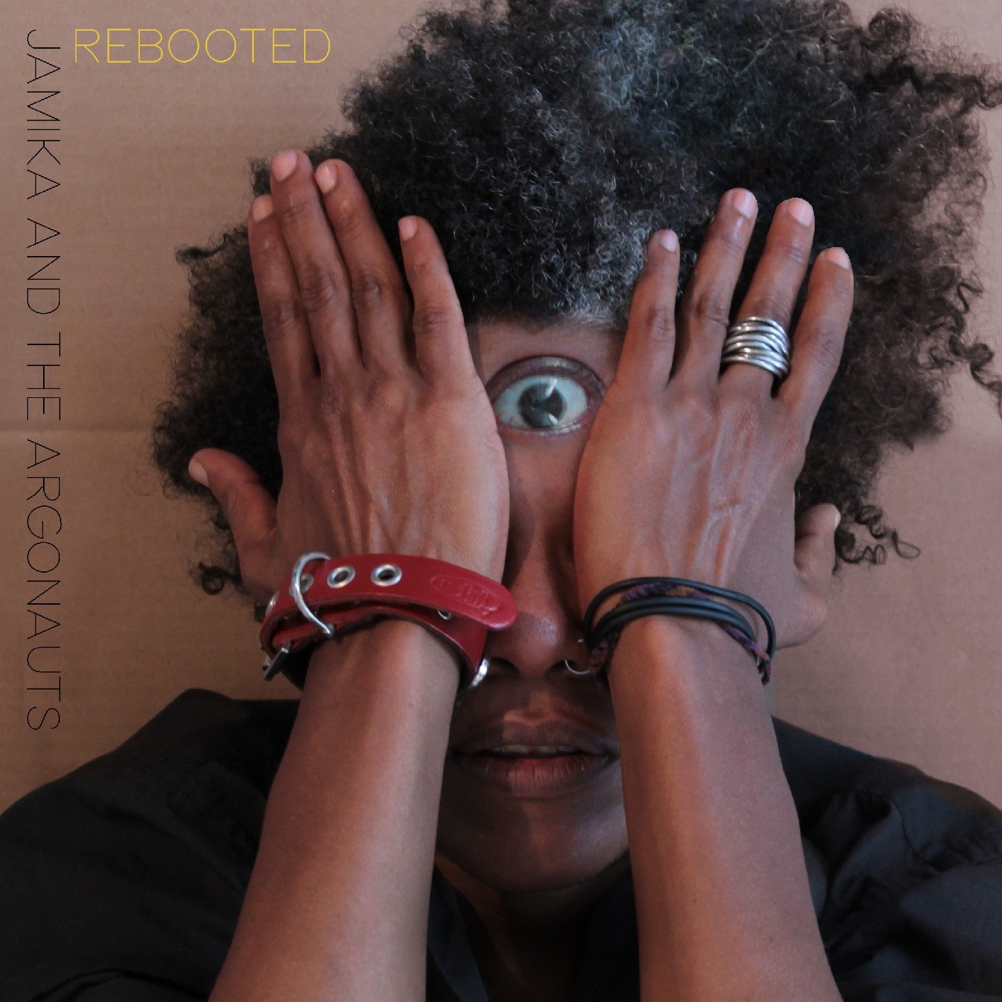 Pochette de : REBOOTED - JAMIKA & THE ARGONAUTS (CD)