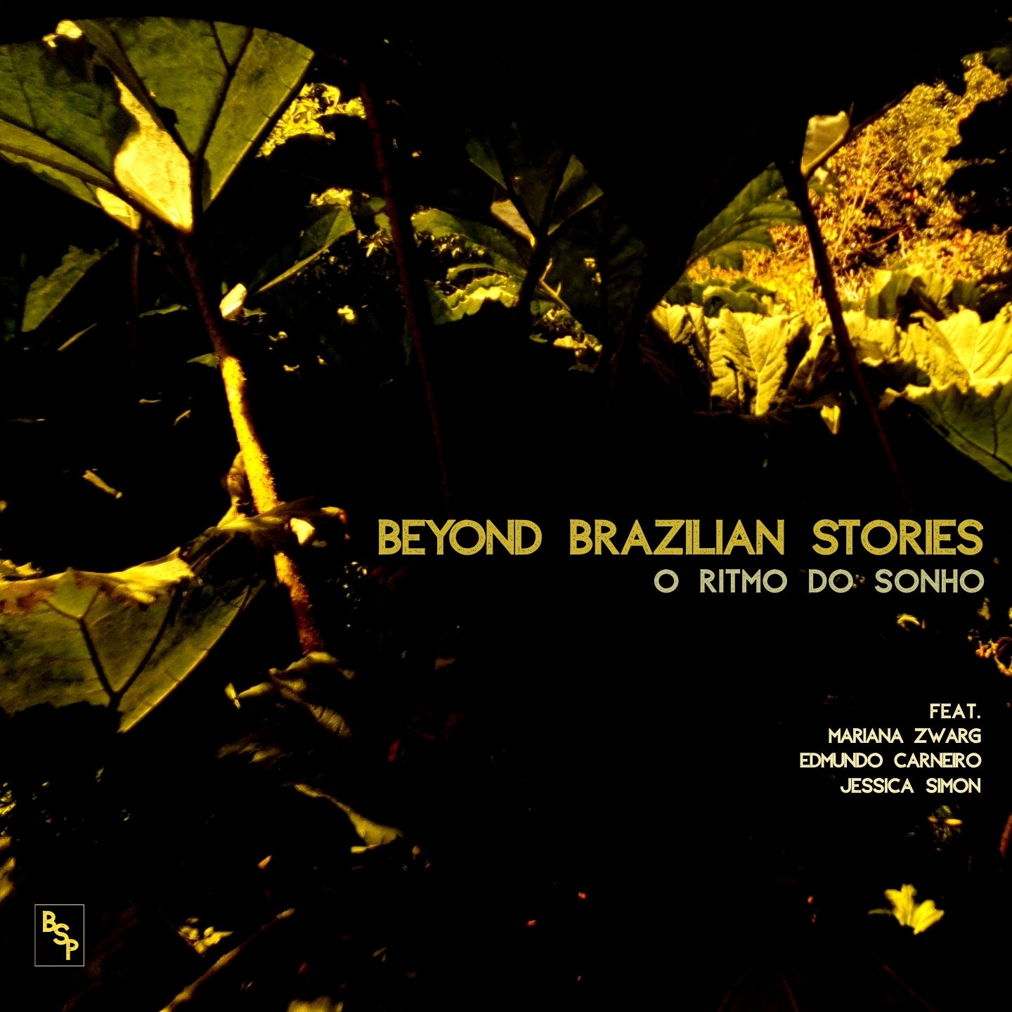 Pochette de : O RITMO DO SONHO - BEYOND BRAZILIAN STORIES (DOUBLE VINYLE 33T)