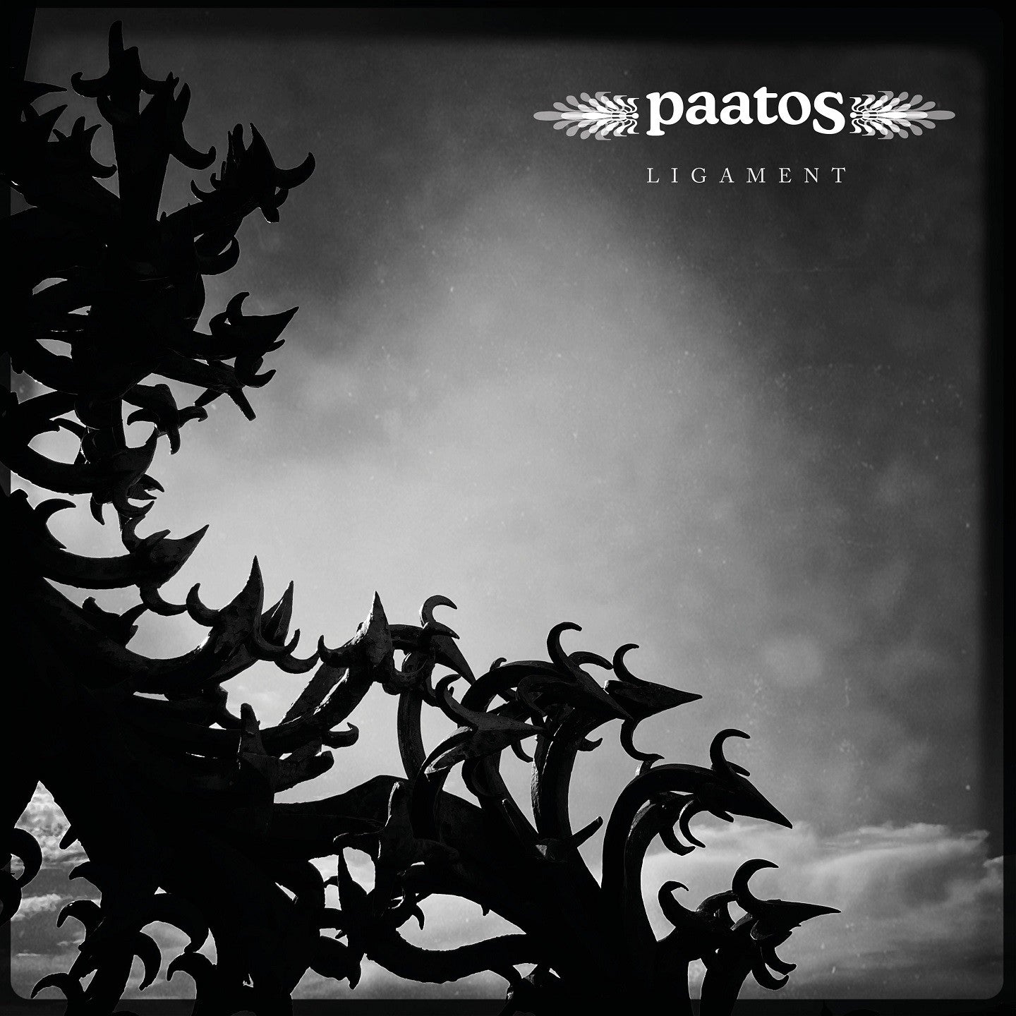 Pochette de : LIGAMENT - PAATOS (VINYLE 33T)