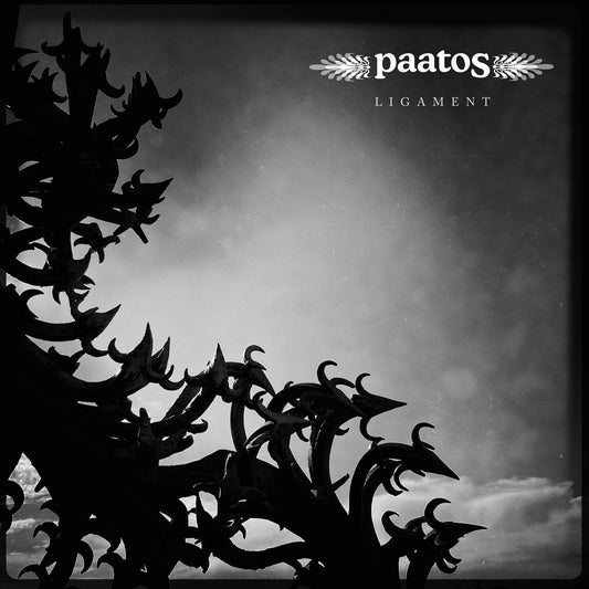 Pochette de : LIGAMENT - PAATOS (VINYLE 33T)
