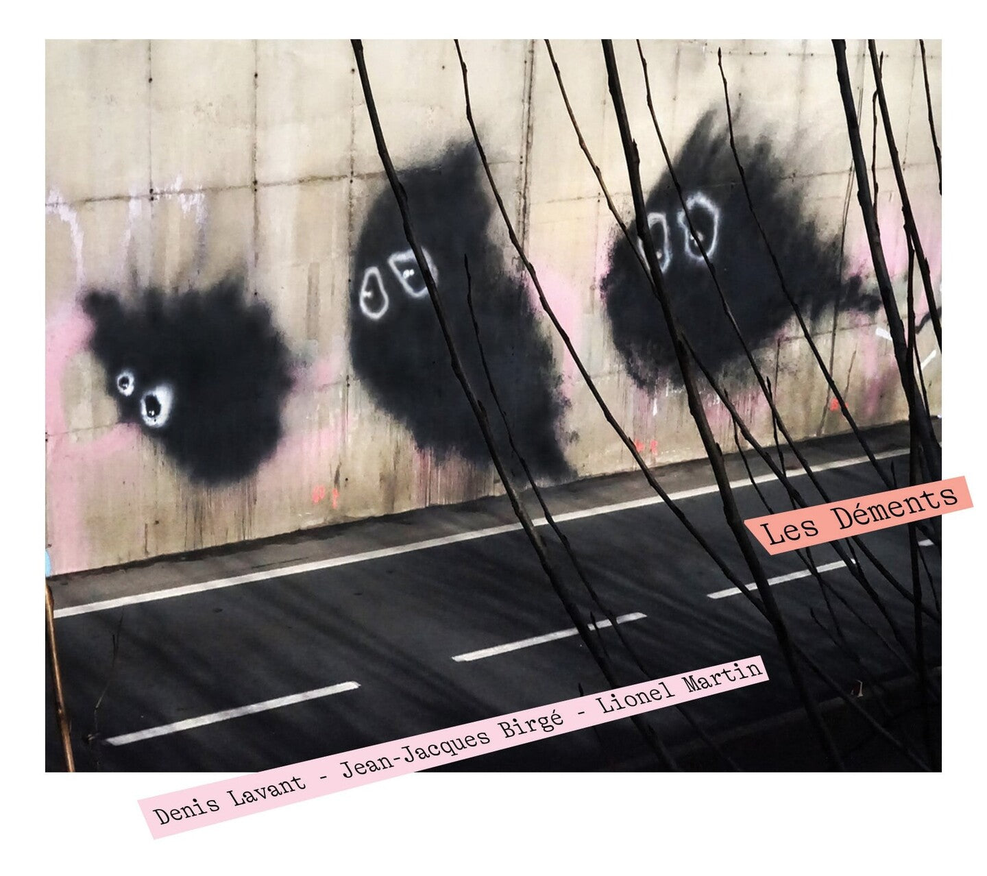 Pochette de : LES DÉMENTS - LIONEL MARTIN (DOUBLE CD)