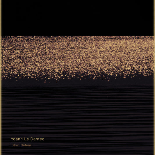 Pochette de : EILOC NALEM - YOANN LE DANTEC (CD)