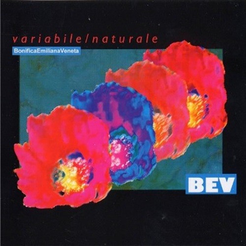 Pochette de :  VARIABILE / NATURALE  - BEV (CD)