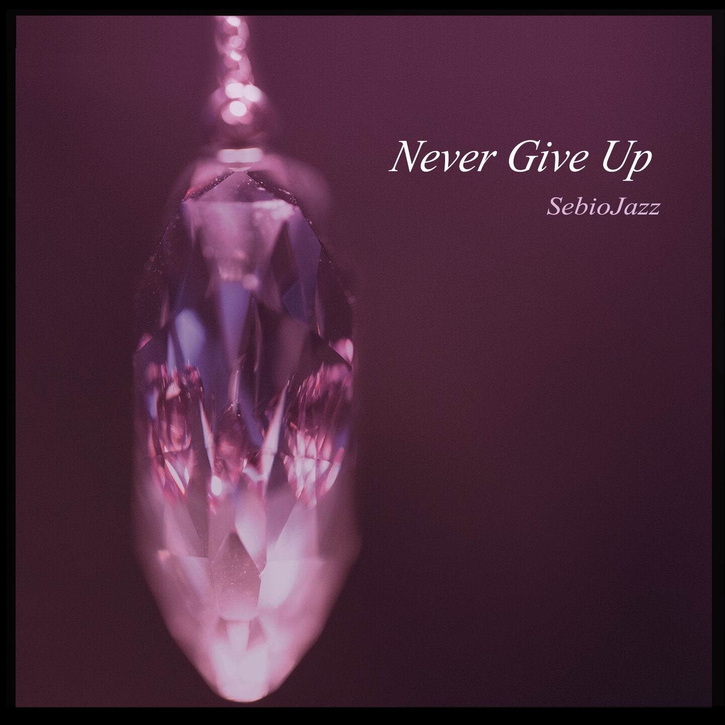 Pochette de : NEVER GIVE UP - SEBIOJAZZ FT CAROLINE GSELL (CD)