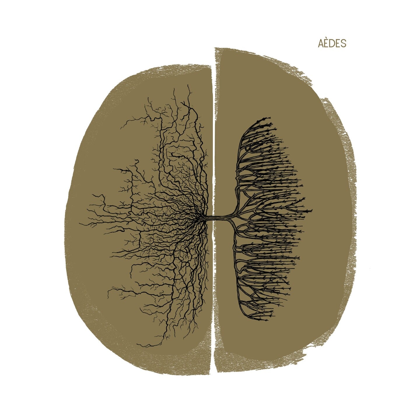 Pochette de : CAMIN SOBIRAN - AÈDES (CD)