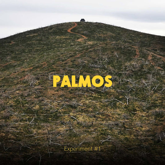 Pochette de : PALMOS EXPERIMENT - VOL 1 - PALMOS EXPERIMENT (CD)