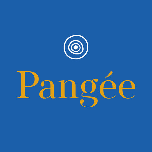 Pochette de : PANGÉE (SOUNDTRACK) - DIMITRI KOUSIS (VINYLE 33T)