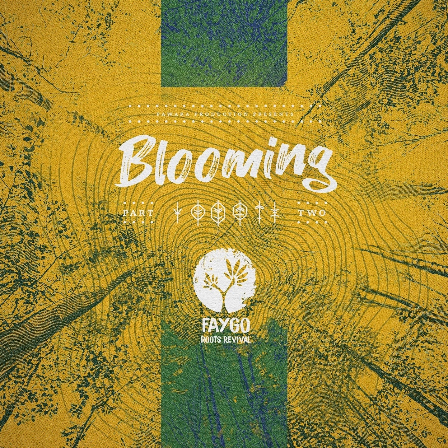 Pochette de : BLOOMING #2 - FAYGO (VINYLE 33T)