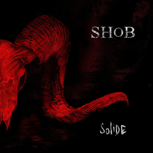 Pochette de : SOLIDE - SHOB (CD)