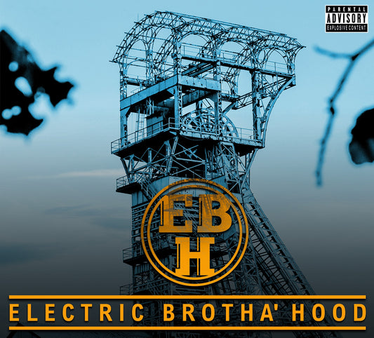 Pochette de : ELECTRIC BROTHA'HOOD - ELECTRIC BROTHA HOOD (CD)