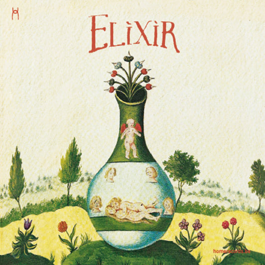 Pochette de : ELIXIR - AURELIE DORZEE / TOM THEUNS FT  MICHEL MASSOT (CD)