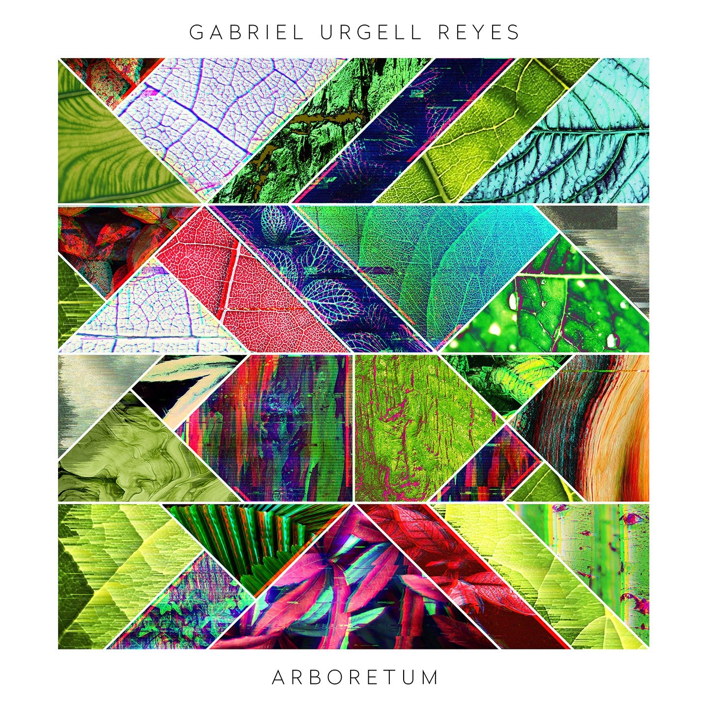 Pochette de : ARBORETUM - GABRIEL URGELL REYES (DOUBLE CD)