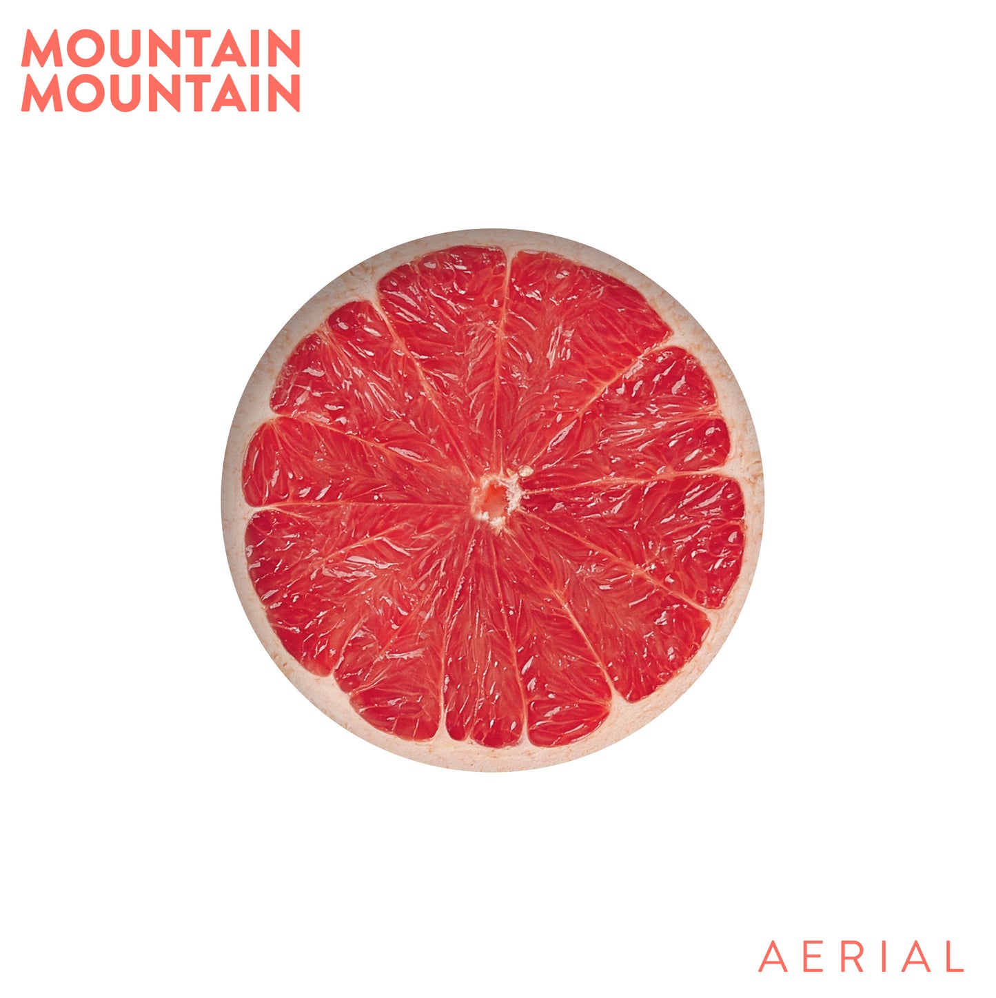 Pochette de : AERIAL - MOUNTAIN MOUNTAIN (33T)