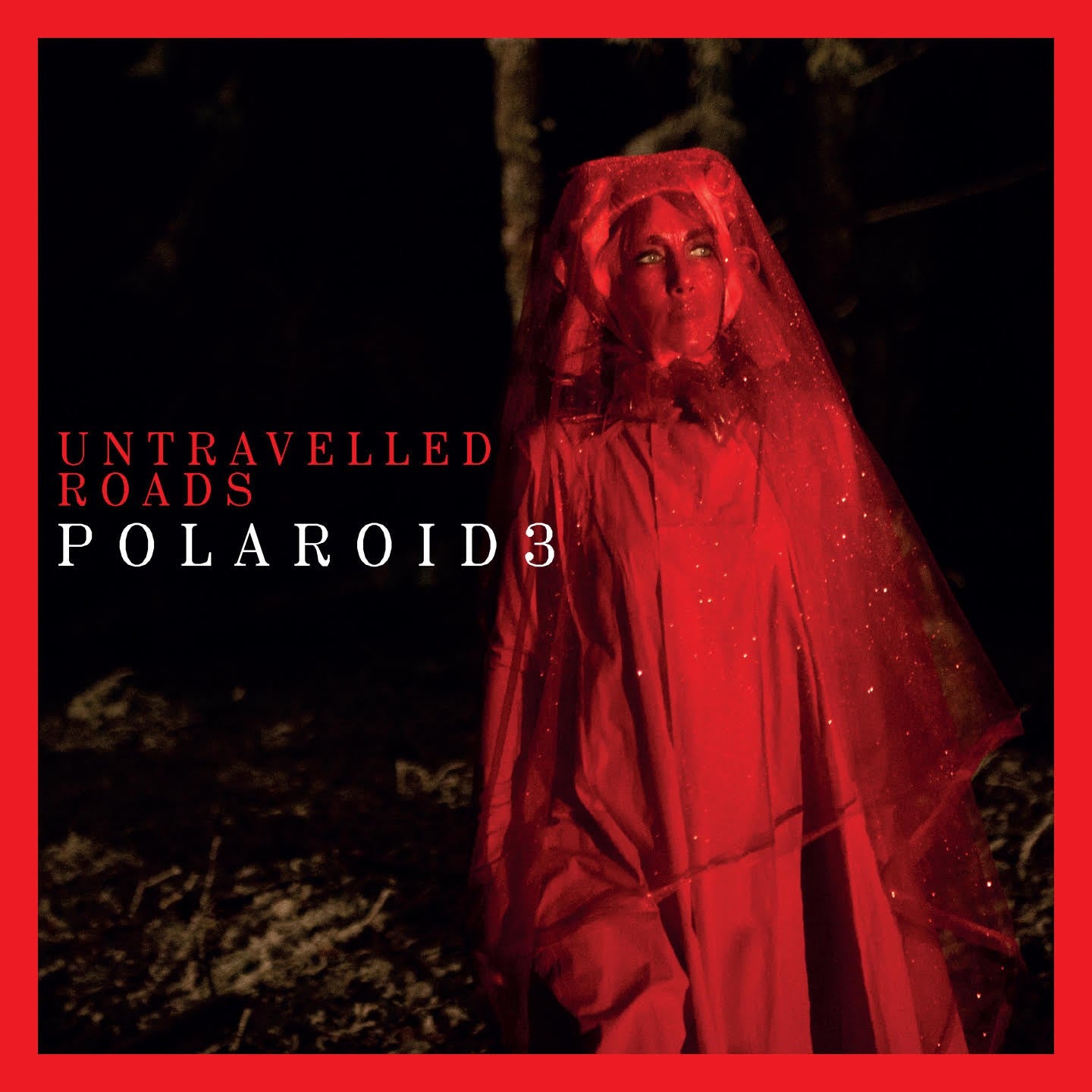 Pochette de : UNTRAVELLED ROADS - POLAROID3 (CD)