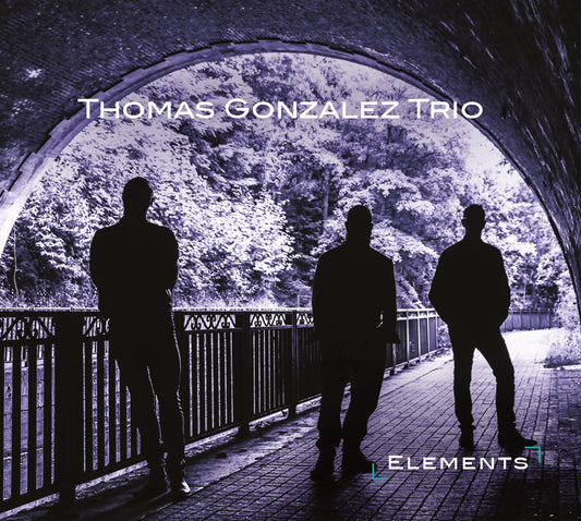 Pochette de : ELEMENTS - THOMAS GONZALEZ TRIO (CD)