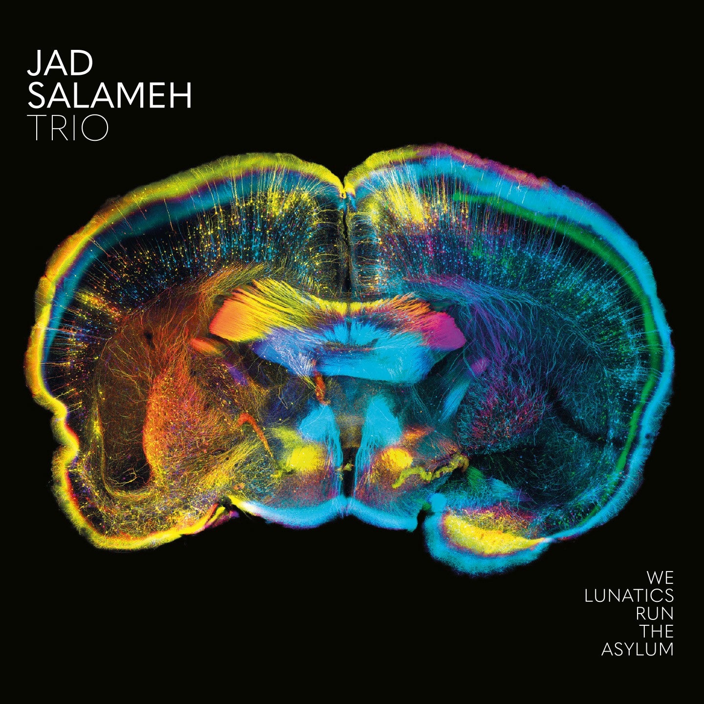 Pochette de : WE LUNATICS RUN THE ASYLUM - JAD SALAMEH (CD)