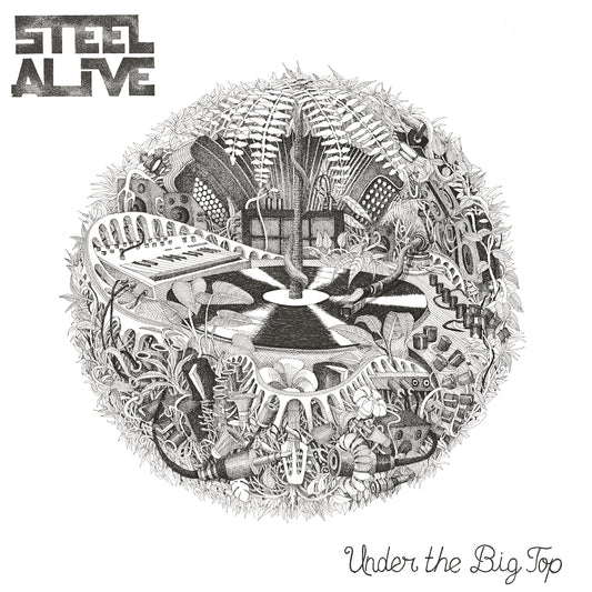 Pochette de : UNDER THE BIG TOP - STEEL ALIVE (CD)