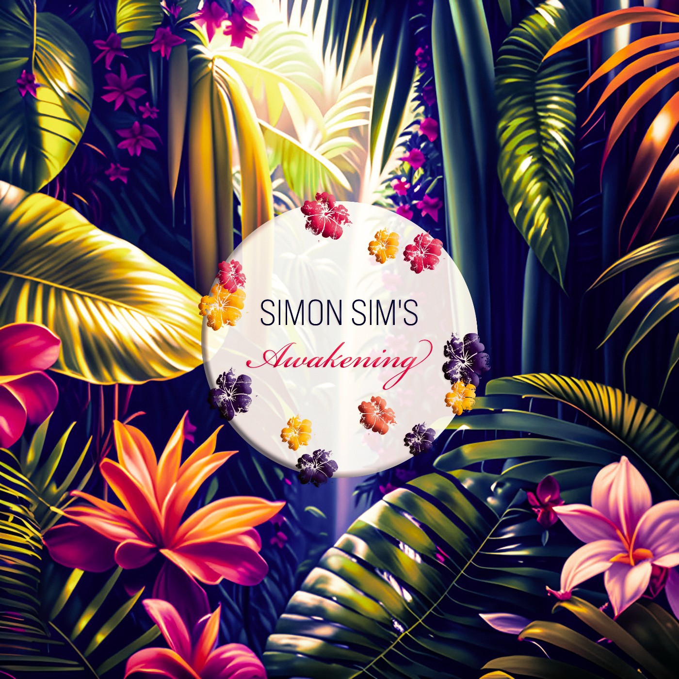 Pochette de : AWAKENING - SIMON SIM S (33T)