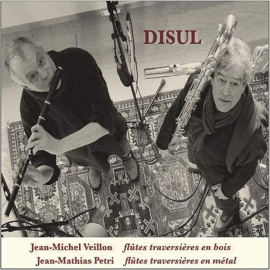 Pochette de : DISUL - JEAN-MATHIAS PETRI & JEAN-MICHEL VEILLON (CD)